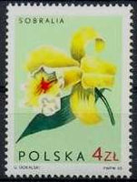 Poland 1965 Orchids-Stamps-Poland-StampPhenom