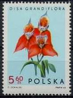 Poland 1965 Orchids-Stamps-Poland-StampPhenom