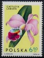 Poland 1965 Orchids-Stamps-Poland-StampPhenom