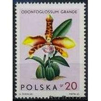 Poland 1965 Orchids