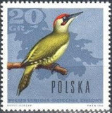 Poland 1966 Forest Birds-Stamps-Poland-StampPhenom