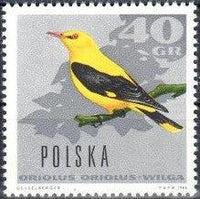 Poland 1966 Forest Birds-Stamps-Poland-StampPhenom