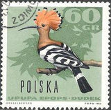 Poland 1966 Forest Birds-Stamps-Poland-StampPhenom