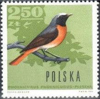 Poland 1966 Forest Birds-Stamps-Poland-StampPhenom