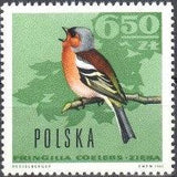 Poland 1966 Forest Birds-Stamps-Poland-StampPhenom