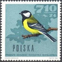 Poland 1966 Forest Birds-Stamps-Poland-StampPhenom