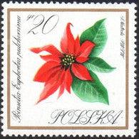 Poland 1966 Garden Flowers-Stamps-Poland-StampPhenom