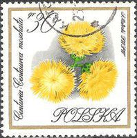 Poland 1966 Garden Flowers-Stamps-Poland-StampPhenom