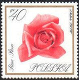 Poland 1966 Garden Flowers-Stamps-Poland-StampPhenom