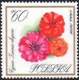 Poland 1966 Garden Flowers-Stamps-Poland-StampPhenom