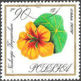 Poland 1966 Garden Flowers-Stamps-Poland-StampPhenom