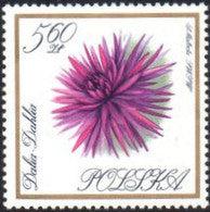 Poland 1966 Garden Flowers-Stamps-Poland-StampPhenom