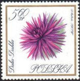 Poland 1966 Garden Flowers-Stamps-Poland-StampPhenom