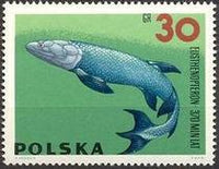 Poland 1966 Prehistoric Creatures-Stamps-Poland-StampPhenom