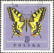 Poland 1967 Butterflies-Stamps-Poland-StampPhenom