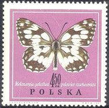 Poland 1967 Butterflies-Stamps-Poland-StampPhenom