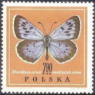 Poland 1967 Butterflies-Stamps-Poland-StampPhenom