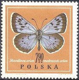 Poland 1967 Butterflies-Stamps-Poland-StampPhenom