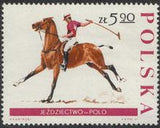 Poland 1967 Horse Breeding in Janów Podlaski, 150th Anniversary-Stamps-Poland-StampPhenom