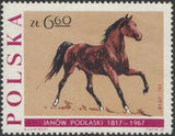 Poland 1967 Horse Breeding in Janów Podlaski, 150th Anniversary-Stamps-Poland-StampPhenom