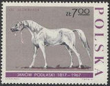 Poland 1967 Horse Breeding in Janów Podlaski, 150th Anniversary-Stamps-Poland-StampPhenom