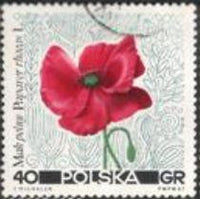 Poland 1967 Pastural Flowers-Stamps-Poland-StampPhenom