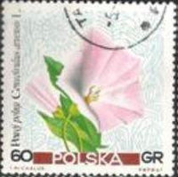 Poland 1967 Pastural Flowers-Stamps-Poland-StampPhenom