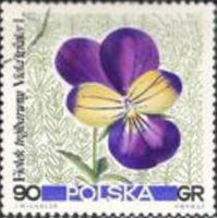 Poland 1967 Pastural Flowers-Stamps-Poland-StampPhenom