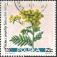 Poland 1967 Pastural Flowers-Stamps-Poland-StampPhenom