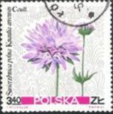 Poland 1967 Pastural Flowers-Stamps-Poland-StampPhenom