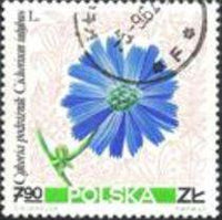 Poland 1967 Pastural Flowers-Stamps-Poland-StampPhenom