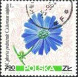 Poland 1967 Pastural Flowers-Stamps-Poland-StampPhenom