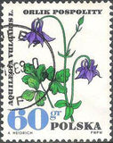 Poland 1967 Protected Therapeutic Plants-Stamps-Poland-StampPhenom