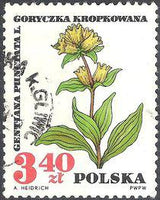 Poland 1967 Protected Therapeutic Plants-Stamps-Poland-StampPhenom