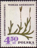 Poland 1967 Protected Therapeutic Plants-Stamps-Poland-StampPhenom