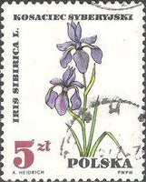 Poland 1967 Protected Therapeutic Plants-Stamps-Poland-StampPhenom