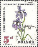 Poland 1967 Protected Therapeutic Plants-Stamps-Poland-StampPhenom