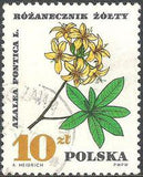 Poland 1967 Protected Therapeutic Plants-Stamps-Poland-StampPhenom