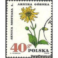 Poland 1967 Protected Therapeutic Plants