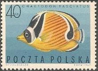 Poland 1967 Tropical Marine Fish-Stamps-Poland-StampPhenom