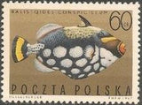 Poland 1967 Tropical Marine Fish-Stamps-Poland-StampPhenom