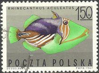 Poland 1967 Tropical Marine Fish-Stamps-Poland-StampPhenom