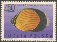 Poland 1967 Tropical Marine Fish-Stamps-Poland-StampPhenom