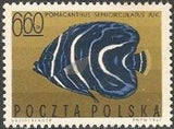 Poland 1967 Tropical Marine Fish-Stamps-Poland-StampPhenom