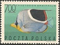 Poland 1967 Tropical Marine Fish-Stamps-Poland-StampPhenom