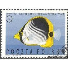 Poland 1967 Tropical Marine Fish