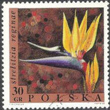 Poland 1968 Flowers-Stamps-Poland-StampPhenom