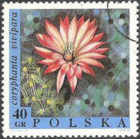 Poland 1968 Flowers-Stamps-Poland-StampPhenom