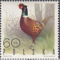 Poland 1970 Gamebirds-Stamps-Poland-StampPhenom