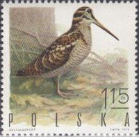 Poland 1970 Gamebirds-Stamps-Poland-StampPhenom